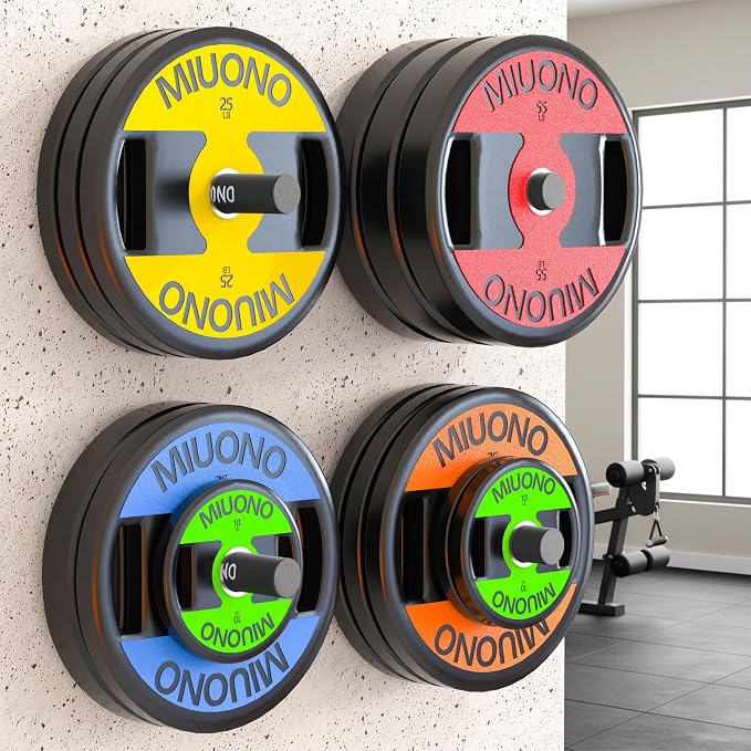 Weight Plate Holder, Wall Mounted Weight Rack Storage for Weight Plates, Home Gym Organizer