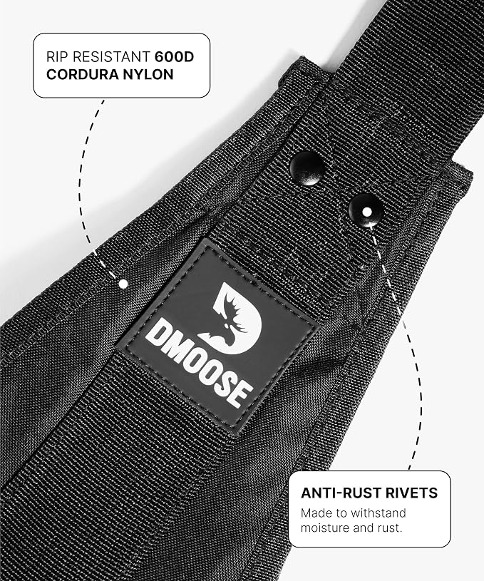 DMoose Fitness Hanging Ab Straps for Pull Up Bar & Core Strength Training - Soft Padded Exercise Straps for Ab Swing & Leg Raises, Hang Bar Strap with 2 Steel Carabiners - Abs Equipment for Home & Gym