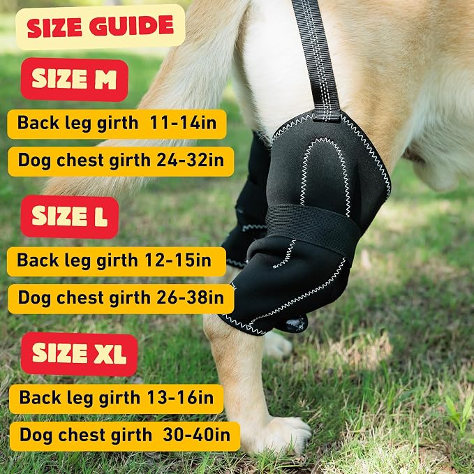 Dog Hip Dysplasia Support Brace. Dog ACL Knee Brace for Back Hind Leg; Bonus Leash and Socks; Adjustable Metal Splint Support Harness for Back Legs and Hip; Easy On Off Hook and Loop Closure - Size M | Soft Breathable Fabric with Adjustable Straps