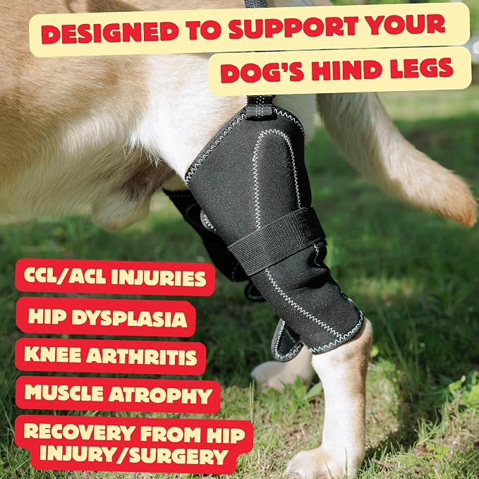 Dog Hip Dysplasia Support Brace. Dog ACL Knee Brace for Back Hind Leg; Bonus Leash and Socks; Adjustable Metal Splint Support Harness for Back Legs and Hip; Easy On Off Hook and Loop Closure - Size L | Soft Breathable Fabric with Adjustable Straps