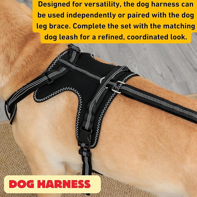 Dog Hip Dysplasia Support Brace. Dog ACL Knee Brace for Back Hind Leg; Bonus Leash and Socks; Adjustable Metal Splint Support Harness for Back Legs and Hip; Easy On Off Hook and Loop Closure - Size M | Soft Breathable Fabric with Adjustable Straps
