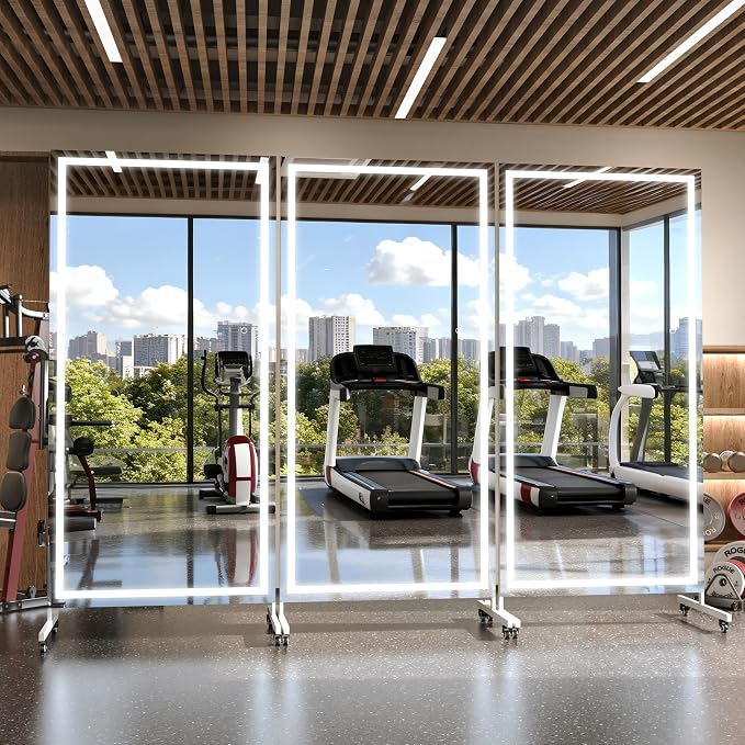 Hasipu 65"x22" LED Full Length Mirror on Wheels, 360° Swivel, White | Tempered glass & metal frame, smooth rolling casters with brakes, ideal for home gym, yoga, dance studio & bedroom.