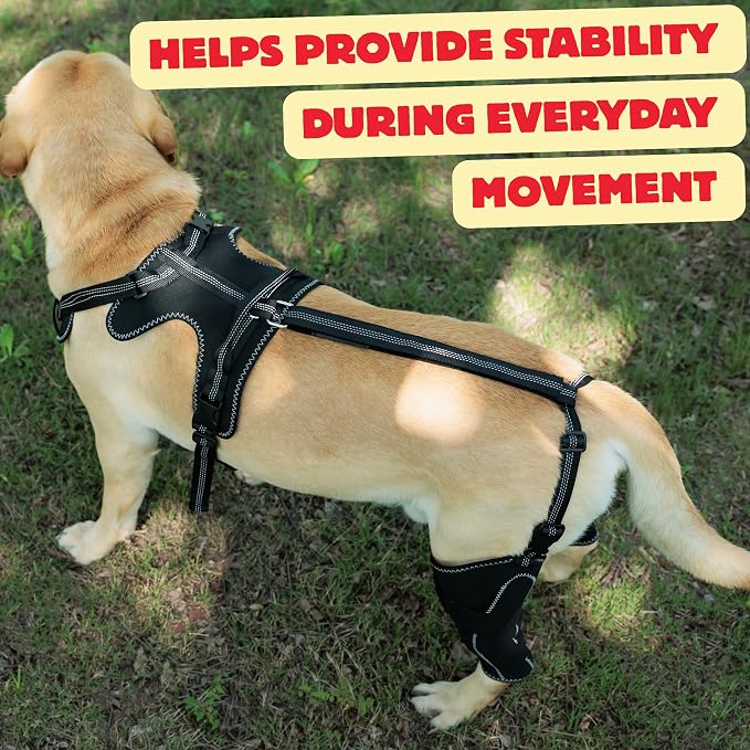 Dog Hip Dysplasia Support Brace. Dog ACL Knee Brace for Back Hind Leg; Bonus Leash and Socks; Adjustable Metal Splint Support Harness for Back Legs and Hip; Easy On Off Hook and Loop Closure - Size L | Soft Breathable Fabric with Adjustable Straps
