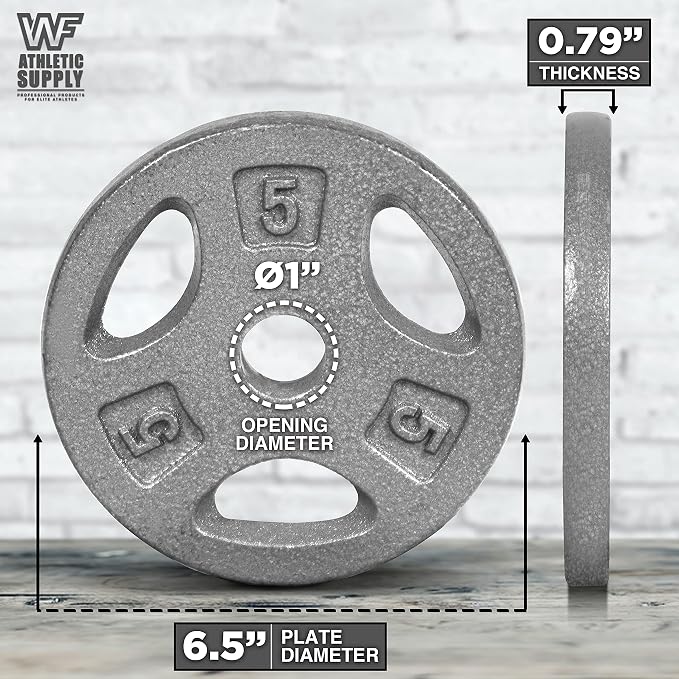 WF Athletic Supply Cast Iron 1-Inch Standard Grip Plate for Strength Training, Muscle Toning, Weight Loss & Crossfit - Multiple Choices Available