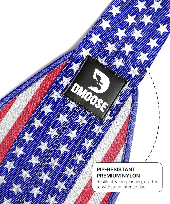 DMoose Fitness Hanging Ab Straps for Pull Up Bar & Core Strength Training - Soft Padded Exercise Straps for Ab Swing & Leg Raises, Hang Bar Strap with 2 Steel Carabiners - Abs Equipment for Home & Gym